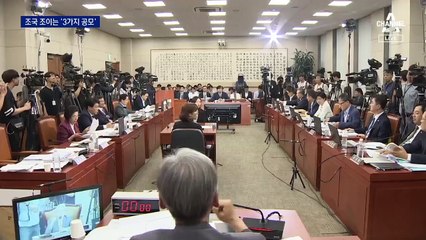 판결문에 드러난 공모…조국 청문회 때 해명과 달라