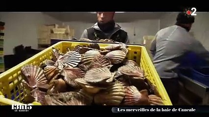 Tomy, le pêcheur sexy de France 2 qui fait le buzz