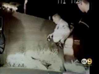 police brutality woman get tazered