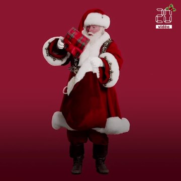 Sapin, repas, cadeaux... Comment fêter Noël, version écolo ?