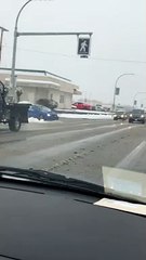 Traffic Doesn't Stop for Deer Using Crosswalk