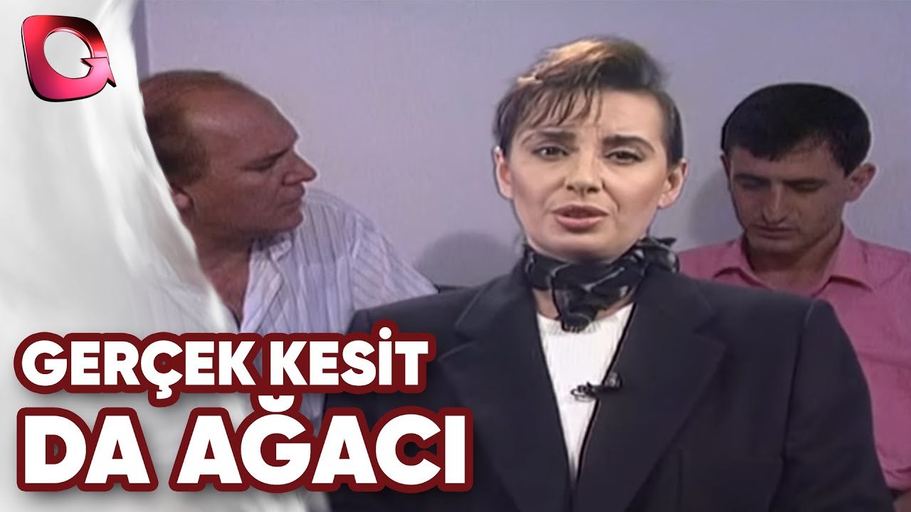 GERÇEK KESİT - DA AĞACI