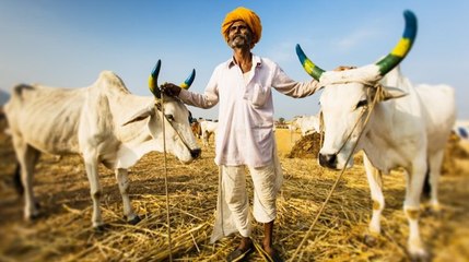तमाम वादों के बावजूद भारत का किसान आज भी क़र्ज़ों के तले दबा हुआ है