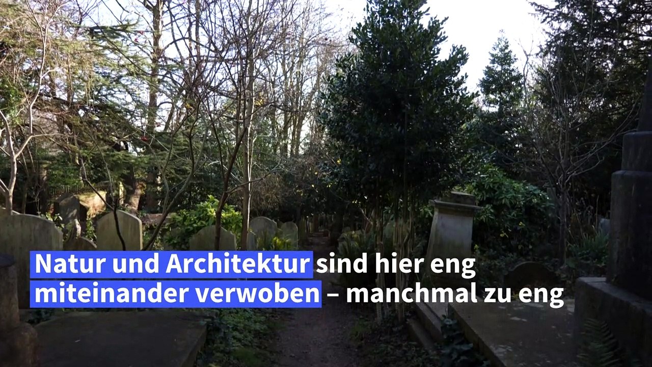 Klimawandel gefährdet Karl Marx' Friedhof in London