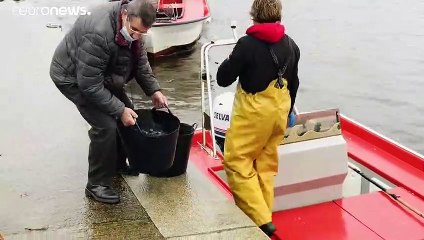 Pescadores de marisco tentam superar impacto da pandemia na Galiza