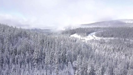 White Winter Scenery  to Relax Your Mind and Soothe Your Soul