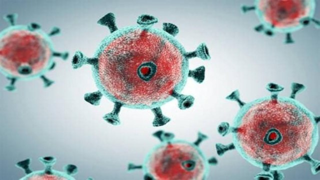 More infectious coronavirus strain found in South Africa