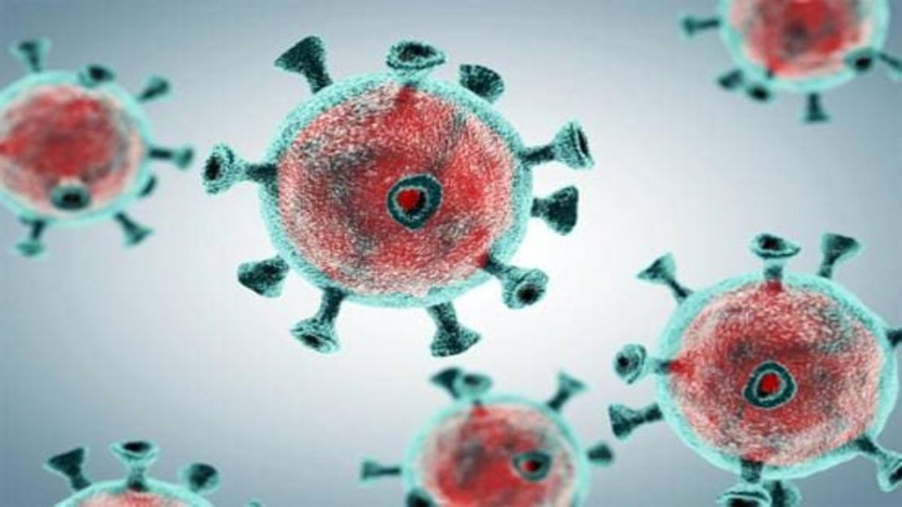 More infectious coronavirus strain found in South Africa
