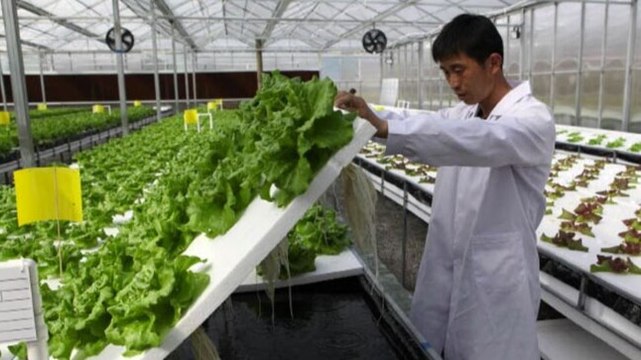 As farmer protests continue, watch how China implemented farm reforms and revitalized rural economy