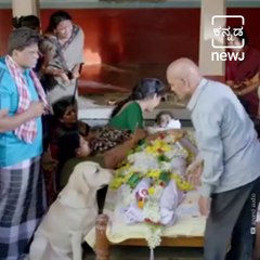 Kannada Movies Released In 2020