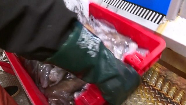 Brexit : quelles sont les principales mesures proposées dans l'accord commercial ?