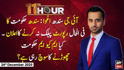 11th Hour | Waseem Badami | ARYNews | 24th  DECEMBER 2020