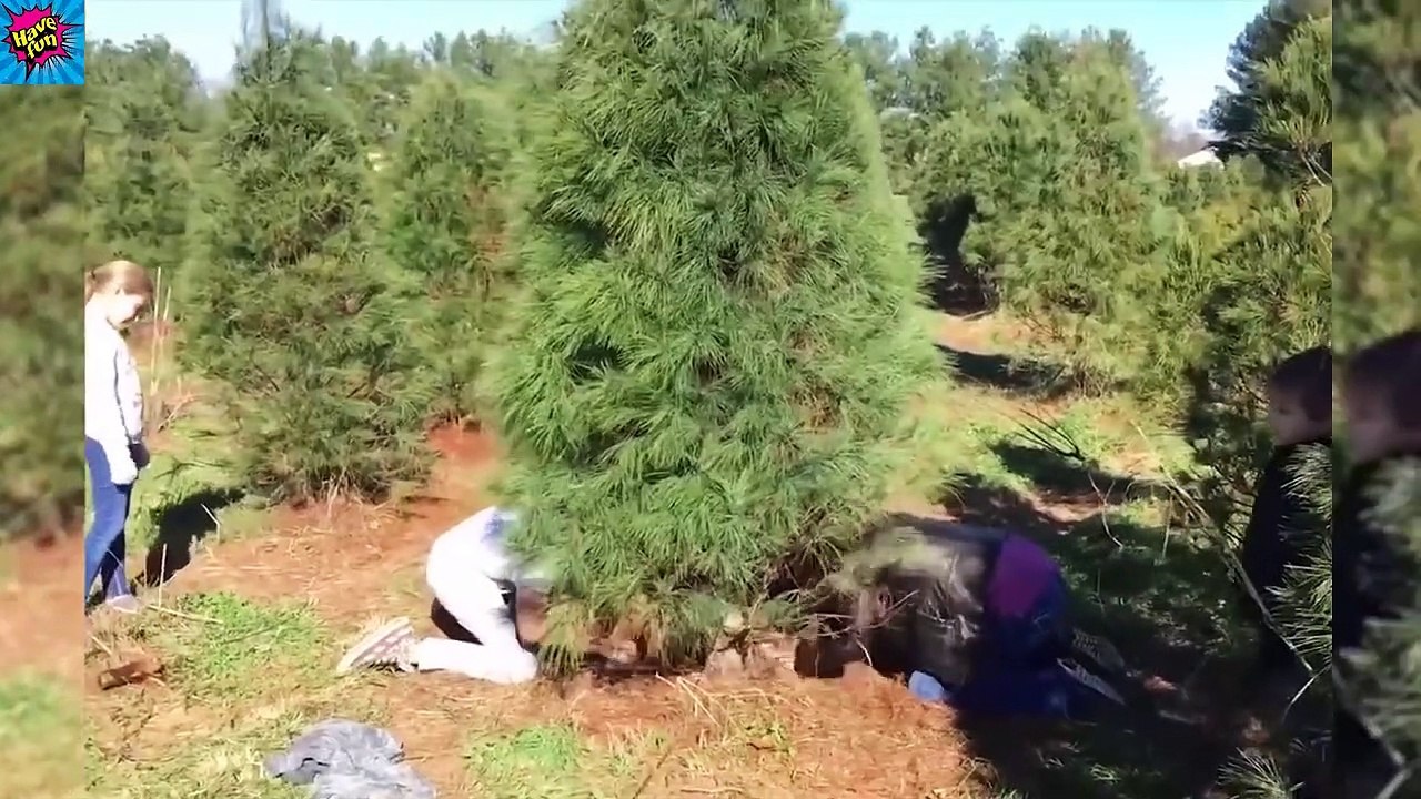 Christmas Fails 2020 [have fun with us]