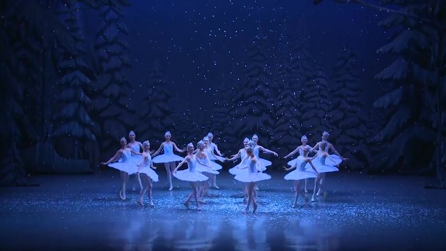 '호두까기인형' 없는 성탄...온라인 공연 새 활로 모색 / YTN