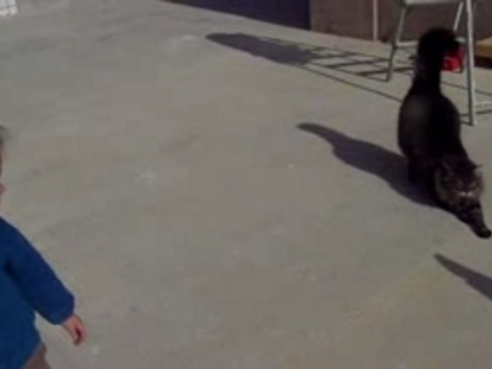 Félicie et Mougette