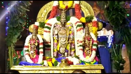 சென்னை திருவல்லிக்கேணி ஸ்ரீபார்த்தசாரதி கோவிலில் வைகுண்ட ஏகாதசி விழா - பரமபத வாசல் திறப்பு