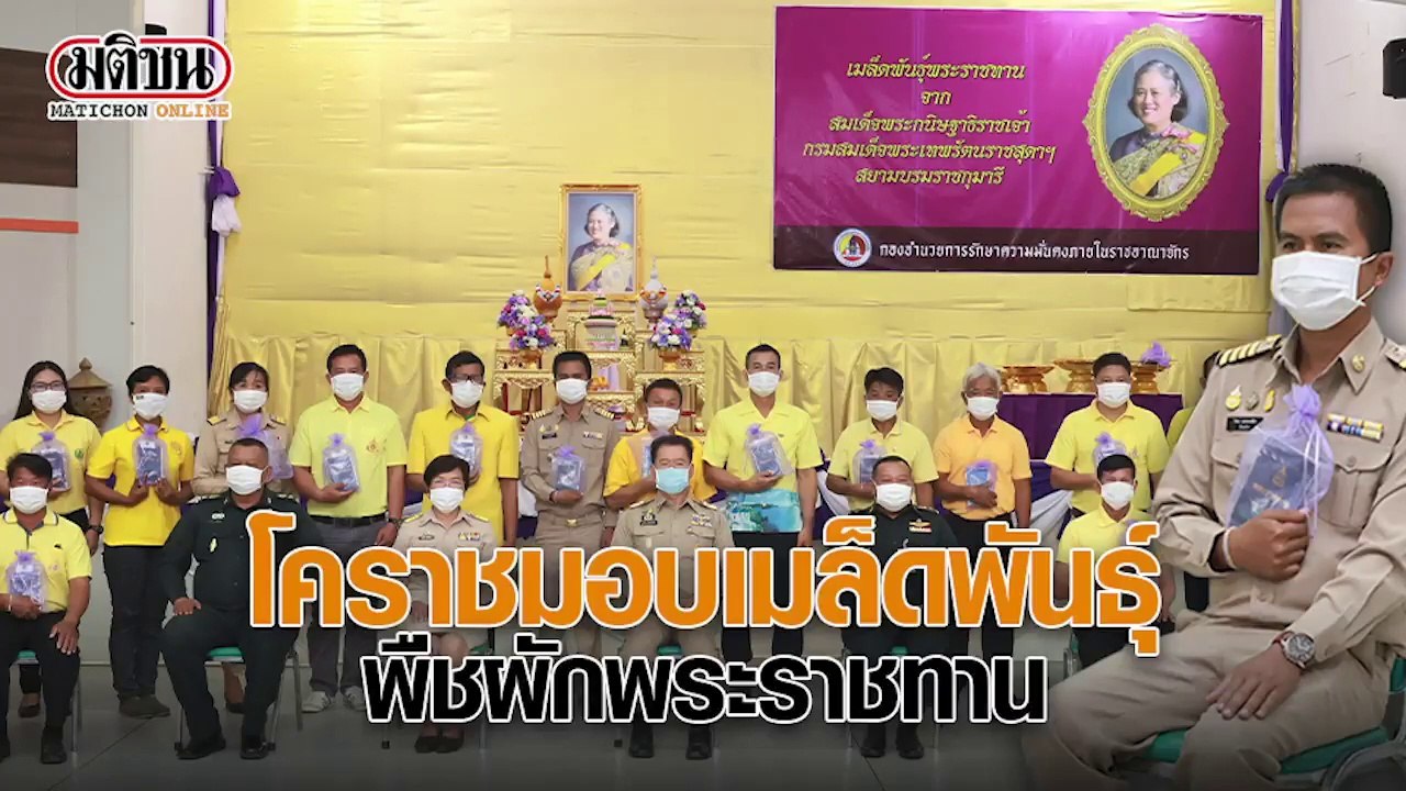 โคราชมอบเมล็ดพันธุ์ พืชผักพระราชทาน
