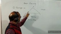 VI--- , Maths, ( 2 ) ,N T S E , basic Geometric ideas. By- A. Prakash