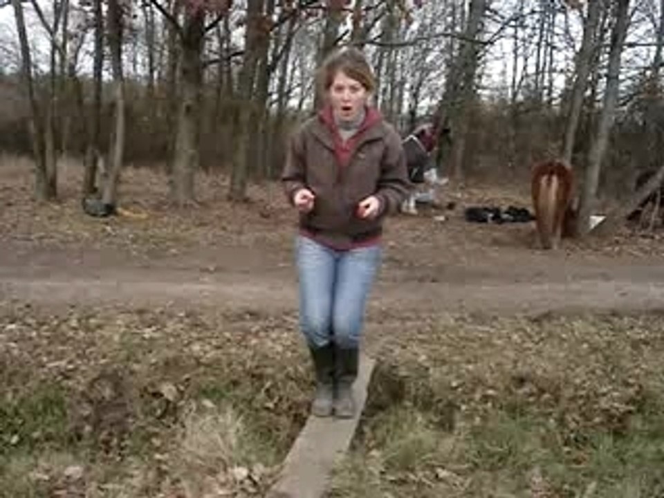 MOV03063