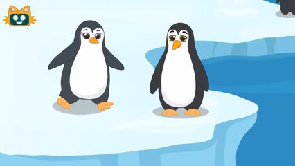 Penguen Şarkısı _ Eğlenceli Çocuk Şarkıları