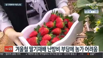겨울철 딸기재배…부분 난방기술로 생산성 높여