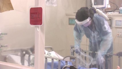 日 연일 최다 확진자 기록...'감염' 해상자위대 막료장, 회식도 참석 / YTN