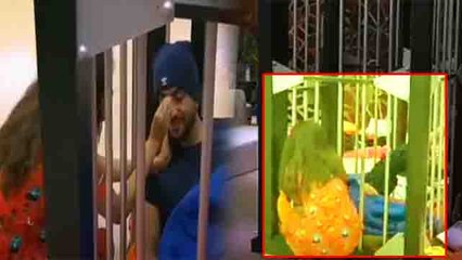 Bigg Boss 14;  Jasmin ने जेल के अंदर यूं किया Aly Goni को Good morning | FilmiBeat