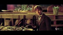 FANTASTIC BEASTS AND WHERE TO FIND THEM International Trailer (2016)