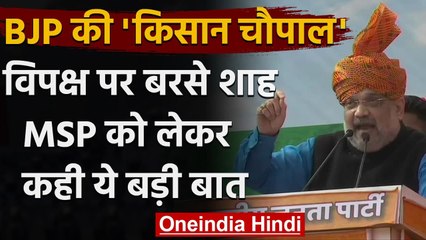 Kisan Sammelan : दिल्ली में विपक्ष पर बरसे Amit Shah, MSP को लेकर कही ये बात | वनइंडिया हिंदी