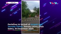 Kerbau Ngamuk di Jalan Raya, Warga Kocar-kacir Ketakutan