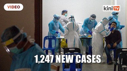 Covid-19: 1,247 new cases, three deaths