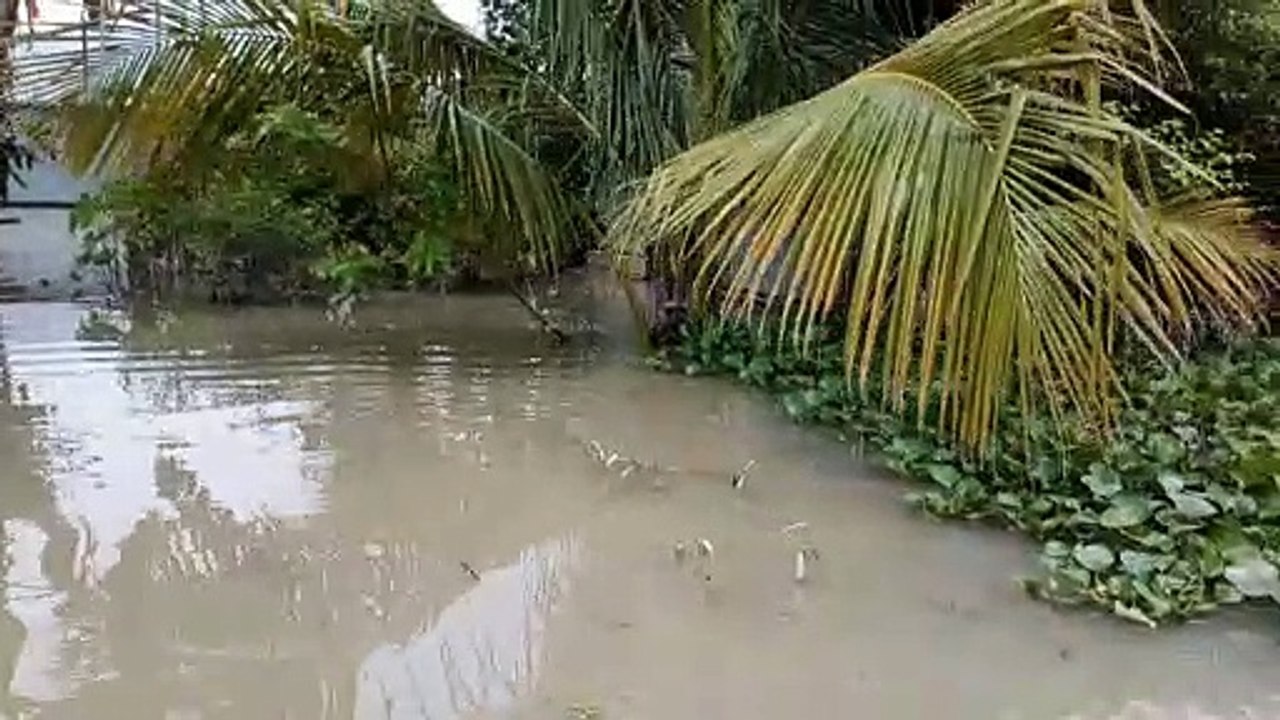 Part-7 । ত্রান বিতরন কর্মসূচী । পর্ব-৭