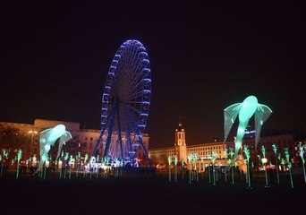 Lyon : une habitante se plaint des lumières, la Ville condamnée