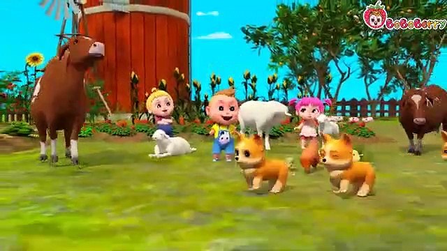 Happy Farm Family, Loving with Animals - More Nursery Rhyme W BoBoBerry Song