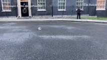 Brexit, il gatto Larry ruba la scena a Downing St. nel giorno del deal