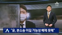 “추가 심리 필요…尹, 본 소송 이길 가능성 배제 못 해”