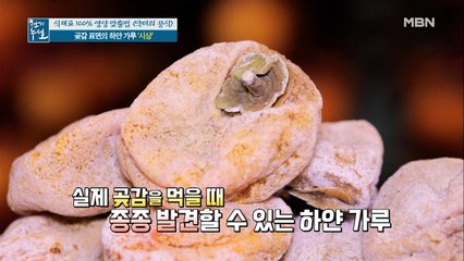 곶감 표면의 하얀 가루, 그 속에 숨겨진 효능은!?