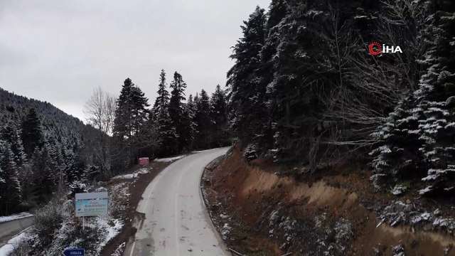 Yılbaşı öncesi kaçak ağaç kesenlere 5 yıl hapis cezası uyarısı