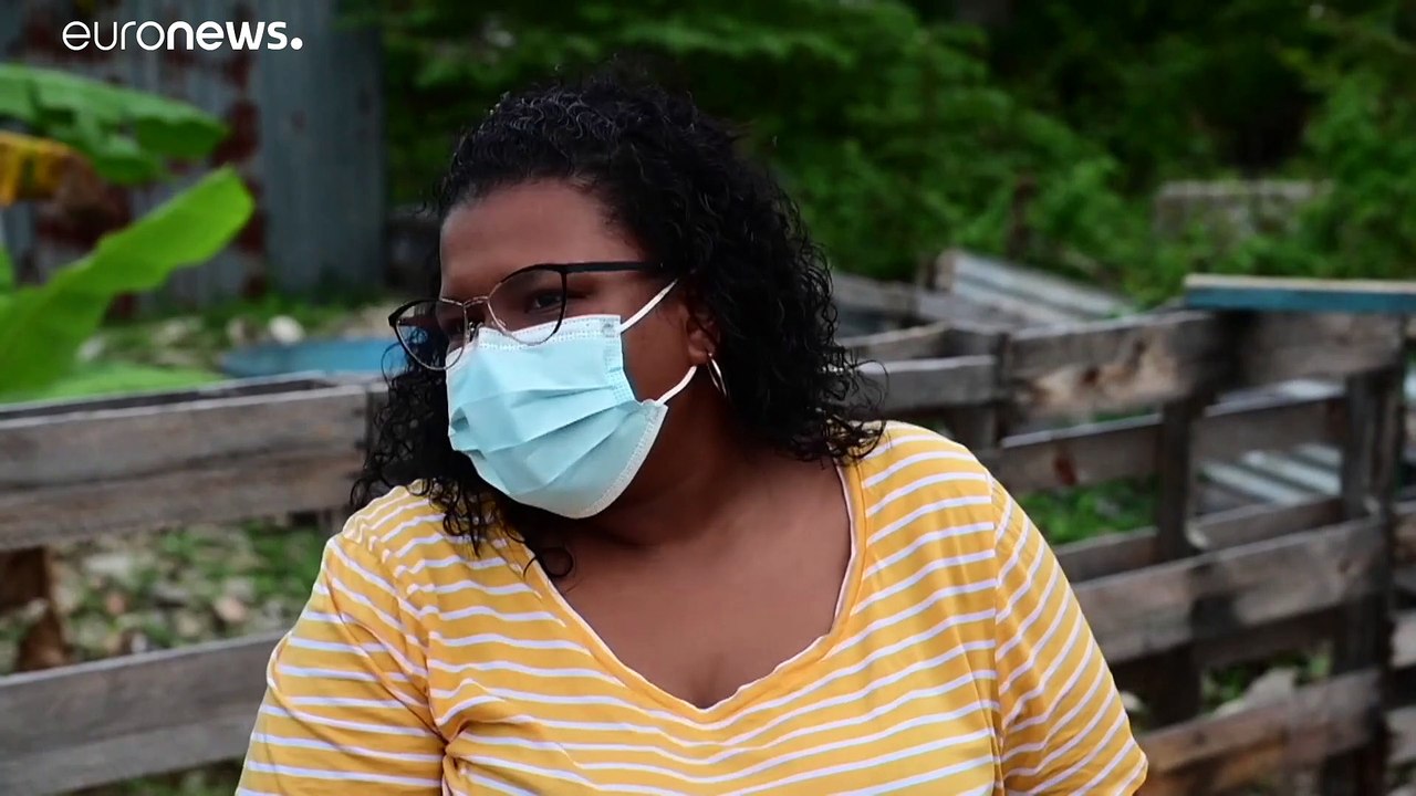 Hängebauchschweineplage auf puerto rico