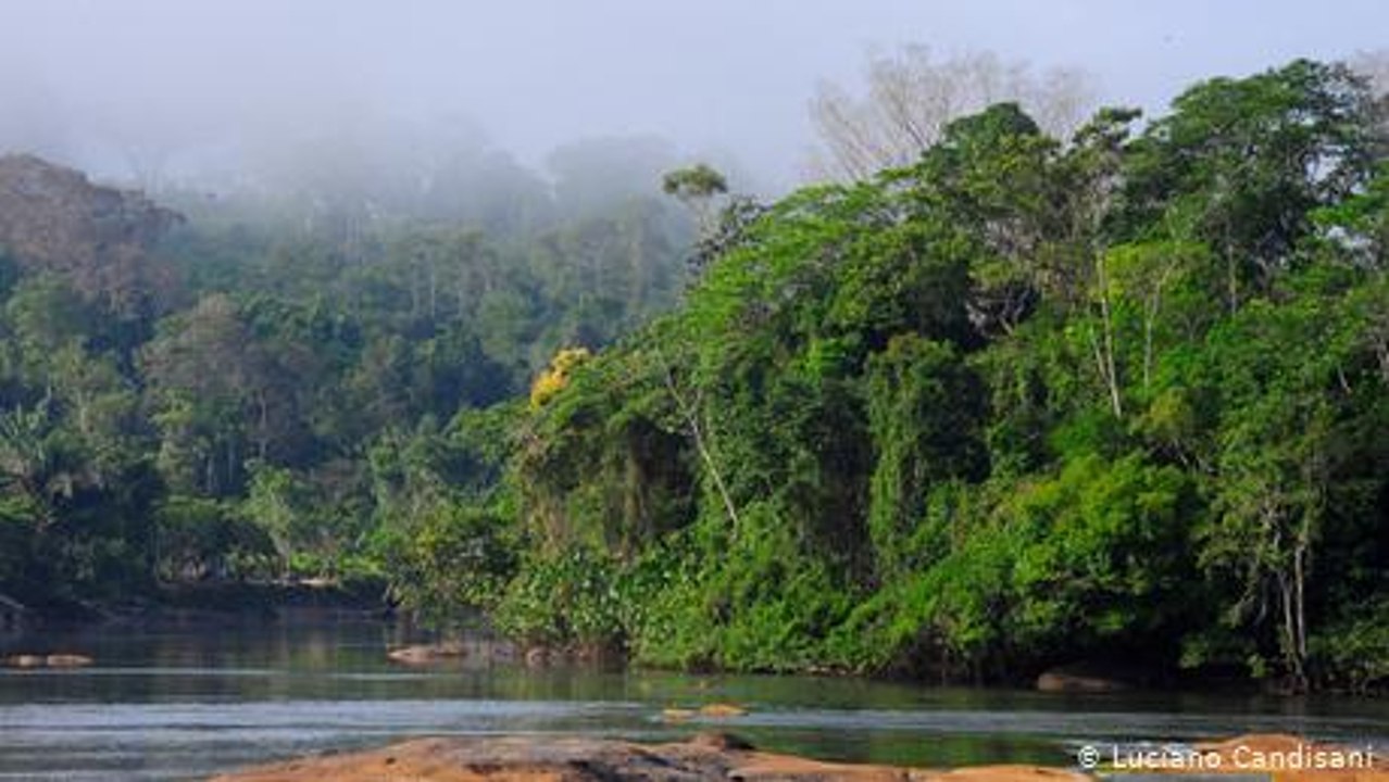 Flying through the Amazon rainforest