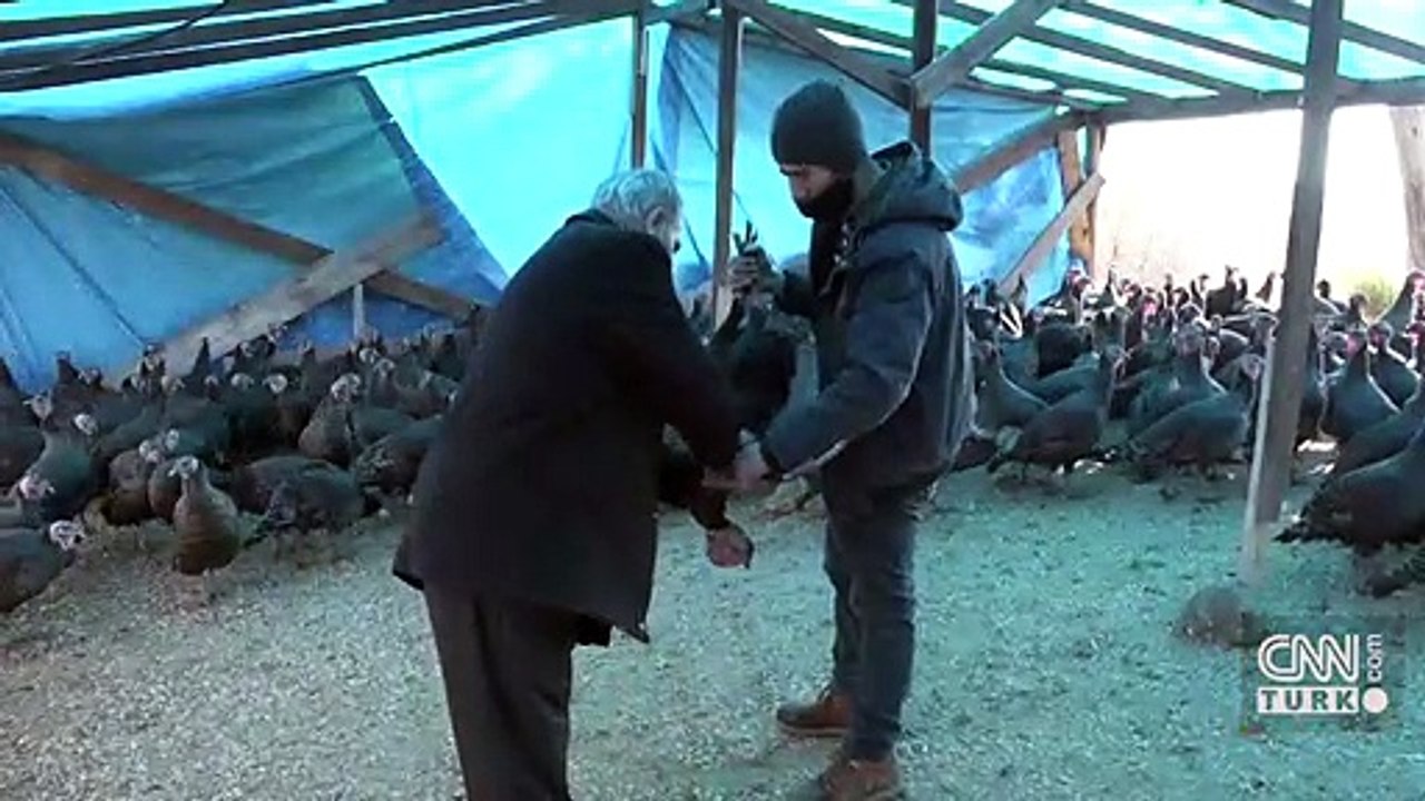 Koronavirüs salgını hindi satışını da etkiledi | Video