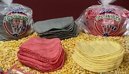 How Its Made - 820 Corn Tortillas