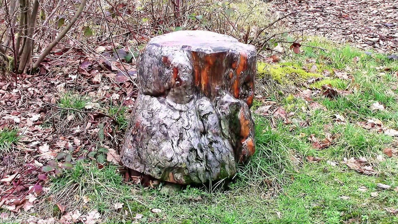 Auf großer Tour, den Natursteig Sieg, Etappe 14 entlang