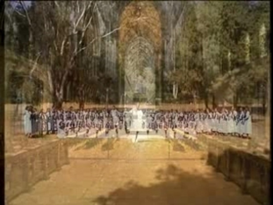 TSY IALA AMINAO KOIKE