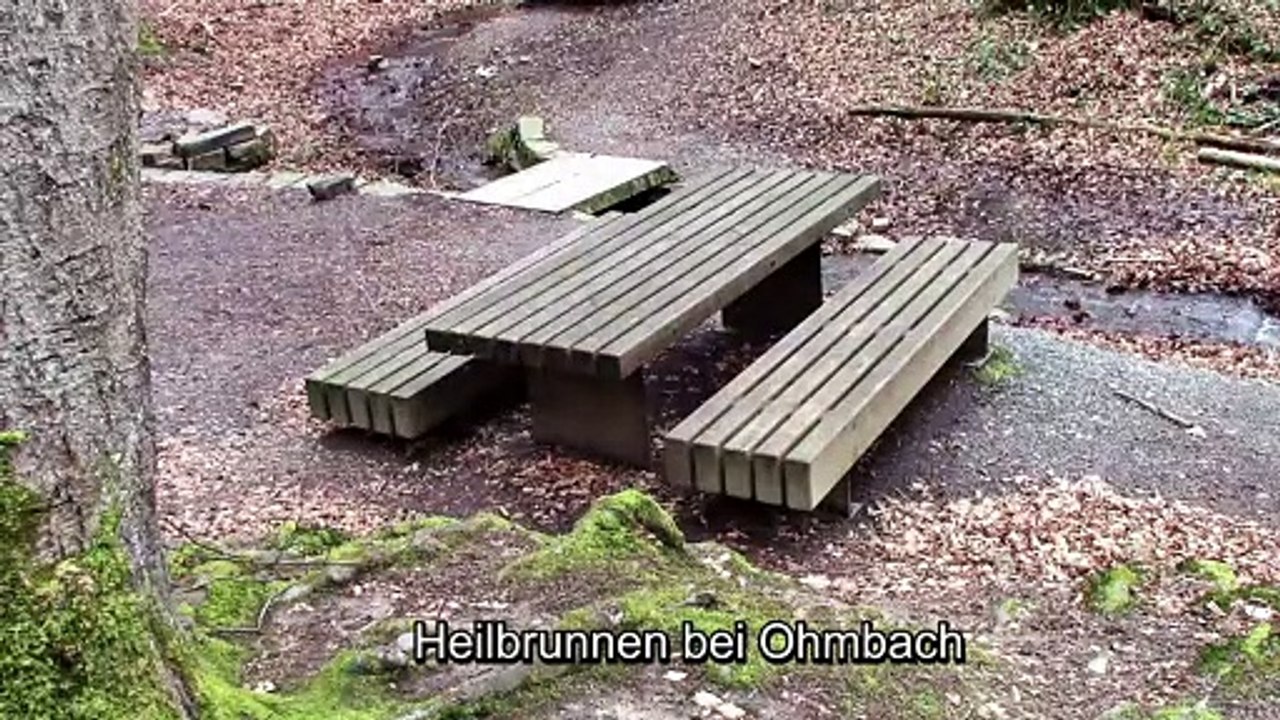 Auf großer Tour den Natursteig Sieg entlang – E...