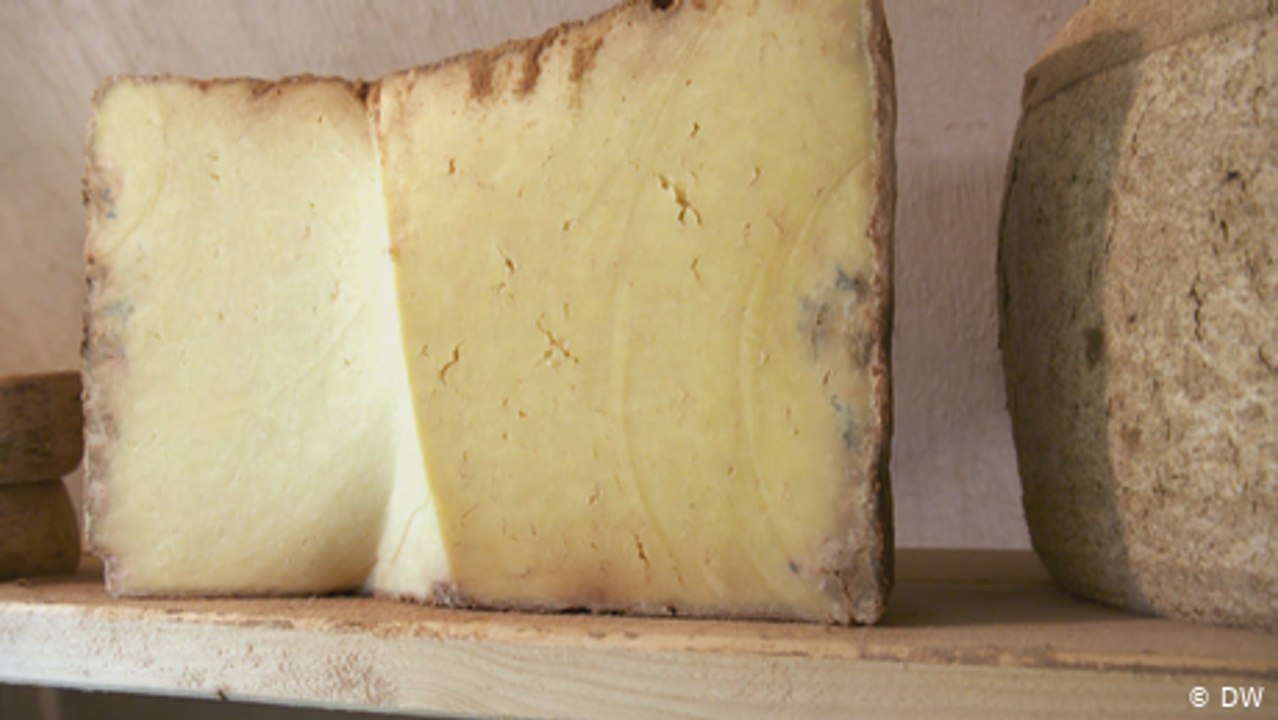 Der Zeremonienmeister von Käse