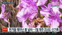 북극 한파·극한 폭염·긴 장마…내년에도 기후위기