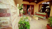Ek Pal Ka Malaal - Episode 37 | Urdu 1 Dramas | Abid Ali, Rubina Ashraf