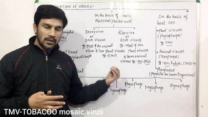 Virus(Lec:3)-Classification/Types of Virus
