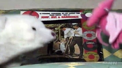 Wild Record Collection #36